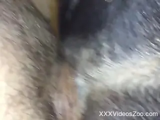 Guy will use that boner to fuck the beast HARD