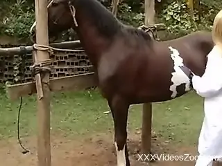 Energized young blonde shares pure zoophilia with a horse