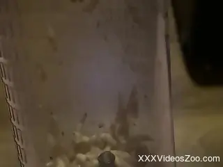 Nude male inserts cock into a jar filled with worms