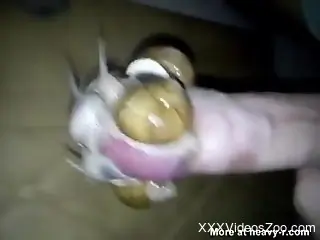 Aroused man puts snails on his dick for better masturbation