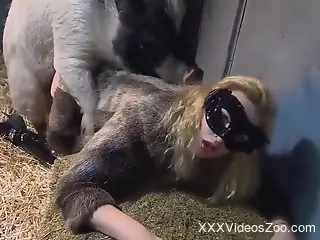 Spicy females in a sexy compilation of raw zoophilia sex