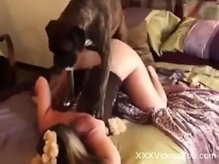 Curvy beauty loaded with cum after trying dog porno