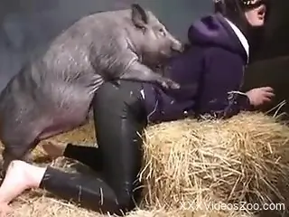 Pig fucker is going to enjoy real orgasms as well