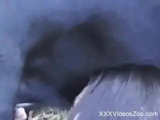 Laitna with perky breasts fucks a horny beast