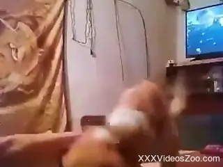 Submissive lady is going to do kinky shit as well