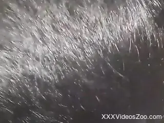 Hot dude is going to really fuck this creature up