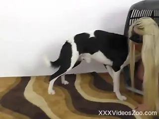 Blondie dealing with a delicious dog cock today