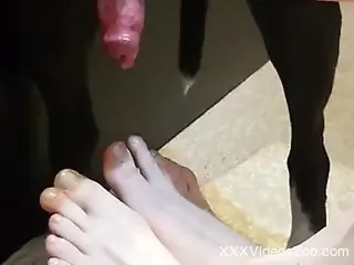 Nasty dogcock sucker wants cum on those tasty toes