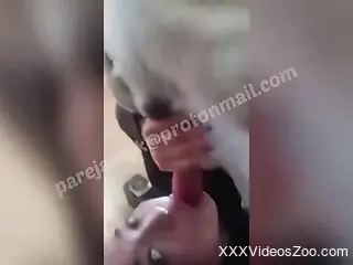 Hot oral exchange with a really sexy thick girl