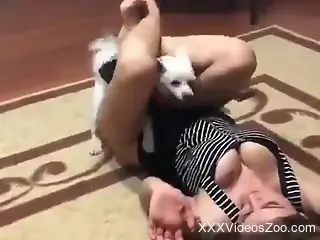 Hot lady with sexy boobs fucks a tiny dog as well