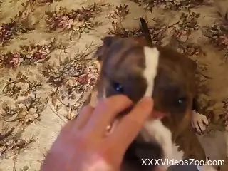 Leather mask hottie is going to fuck a sexy dog