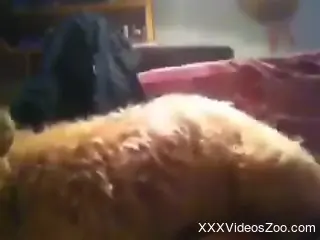 Sexy creature is going to enjoy sexier experience