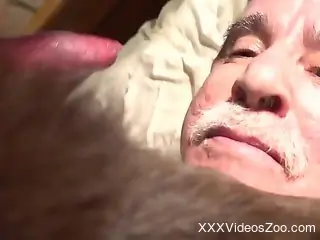Old man worships his dog's nice cock up close