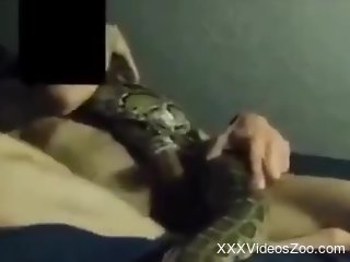 Nude man masturbates with a big snake on his dick