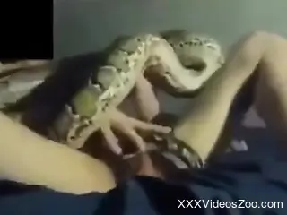 Nude man masturbates with a big snake on his dick