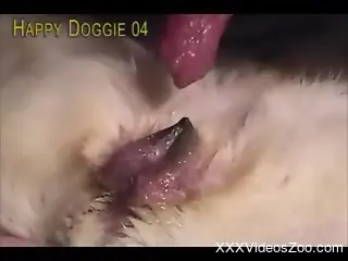 Best compilation with horny men deep fucking dogs