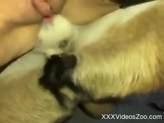 Nude female works tasty dog dick in the pussy while on cam