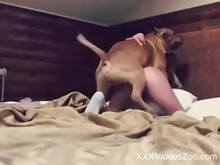 Dashing blonde woman fucked by her dog in crazy rounds