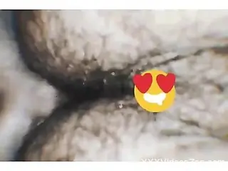 Nude man tries anal with a dog in homemade POV scenes