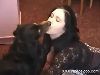 Fine amateur gets busy trying dog cock in loud scenes