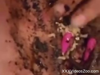 Nude woman inserts worms in her pussy during masturbation