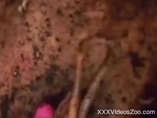 Nude woman inserts worms in her pussy during masturbation