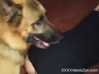 Naked woman enjoys dog's big dick harder than ever