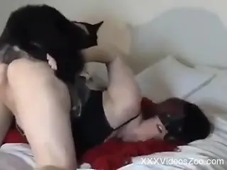 Aroused cam slut tries massive doggy style sex with the dog