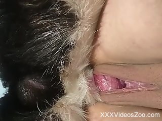 Aroused woman loves the dog's penis so hard in her shaved cunt