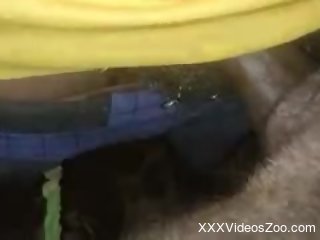Horny man inserts cock in a wet animal pussy while on cam