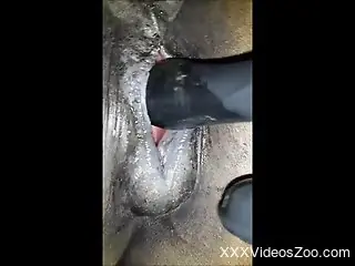 Insolent scenes show naked man toying a horse's pussy