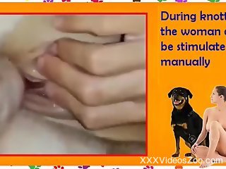 Fine woman in a sexy zoophilia compilation fucking with dogs
