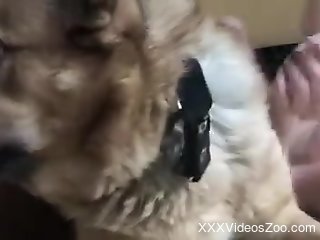 Masked beauty shows off throating the dog's dick and fucking