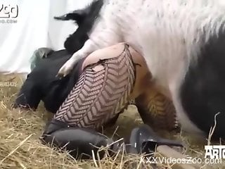 Sexy female lands animal cocks in her tight pussy and ass