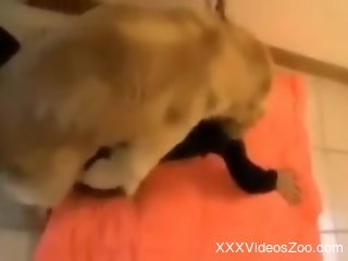 Dog fucks tight woman and in the end she swallows