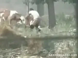 Amateur man gets filmed in outdoor fucking animals