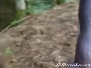 Steamy moments when a curious woman grabs a huge elephant cock