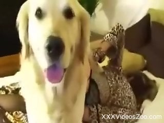 Dog loudly fucks naked woman in bot holes and comes on her