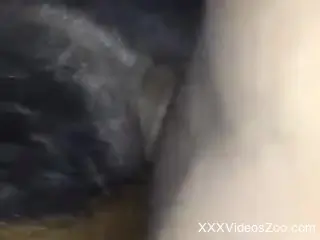 Man fucks furry farm animal and comes all over it
