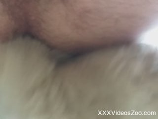 Energized man fucks with a dog while on cam and shares intense XXX