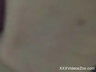 Amateur man tries sex with animals for the first time on cam