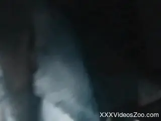 Aroused mature with big tits shares porno with a dog
