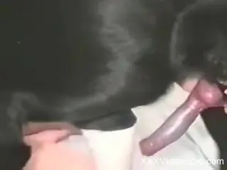 Curvy woman tries dog penis in her holes during webcam XXX