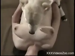 Chubby mature zoophilia sex session with a dog