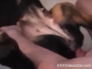 Perverted guy rubs and fucks his dog's cunt