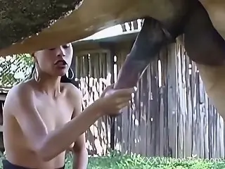 Crazy Latina is swallowing stallion's dick
