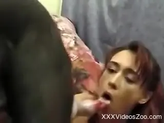 Young whore is playing with a dog's dick with her mouth