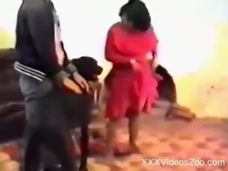 Couple bestiality threesome with their family dog