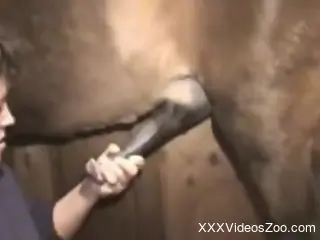 Jerking off horse dick is a key to hardcore zoo fuck