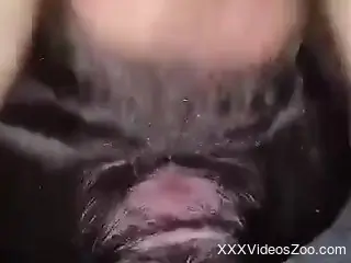 Dude with hairy balls fucks his dog's cunt